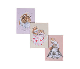Wrendale Designs Notebooks - Whiskers and Paws (Set of 3)