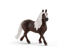 Schleich Black Forest Stallion Figure - 13897