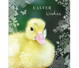 Easter Card - Duckling In Hand