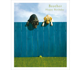Brother - Labradors Looking Over A Blue Fence