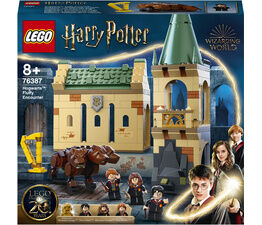 LEGO® Harry Potter™ - Hogwarts™ Fluffy Encounter - 76387