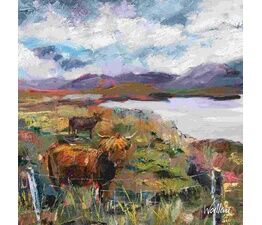 Highland Cattle And Harris Hill
