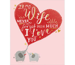 To My Wife My Love