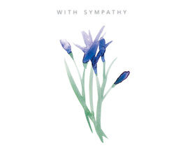 With Sympathy Iris