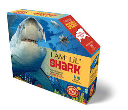 Wow - I Am Lil 'Shark - 100pc - 4013