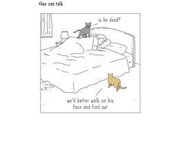 Cats Climbing On Man In Bed