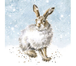 Wrendale Designs - Christmas Cards - Winter Hare