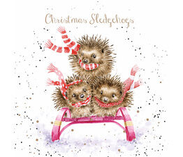 Wrendale Designs - Sledgehogs - Boxed Cards
