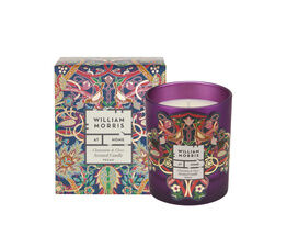 William Morris at Home - Bullerswood Clementine & Clove Scented Candle 180g