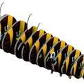 EUGY Bumblebee additional 3