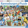 Ravensburger - Traveller's Animal Journal - 1000 Piece - 17322 additional 1