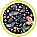 The Original Glowstars Co - Glow Stars &amp; Sea Creatures additional 2