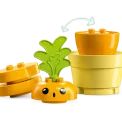 LEGO DUPLO My First Growing Carrot additional 5