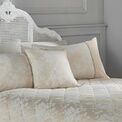 Dreams & Drapes Woven - Imelda - Jacquard Cushion Cover - 43 x 43cm in Ivory additional 2