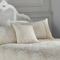 Dreams &amp; Drapes Woven - Imelda - Jacquard Filled Cushion - 43 x 43cm in Ivory additional 2