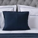 Crompton Quilted Filled Cushion additional 7