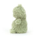 Jellycat - Little Frog additional 3