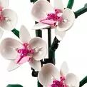 LEGO Icons Orchid additional 3