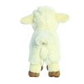 Aurora - Eco Nation Lamb additional 3