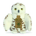Aurora - Eco Nation Snowy Owl additional 1