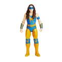 WWE - Basic Action Figure Assortment additional 6