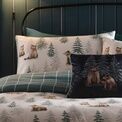Dreams & Drapes Lodge - Bear Walks - Velvet Cushion Cover - 43 x 43cm in Teal additional 4