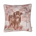 Dreams & Drapes Lodge - Hanson Highland Cow - Velvet Cushion Cover - 43 x 43cm in Terracotta additional 1