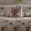 Dreams & Drapes Lodge - Hanson Highland Cow - Velvet Cushion Cover - 43 x 43cm in Terracotta additional 3