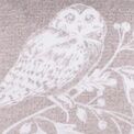 Dreams & Drapes Lodge - Woodland Owls - Velvet Filled Cushion - 43 x 43cm in Sage additional 3
