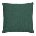 Drift Home - Hayden - 100% Recycled Cotton Filled Cushion - 43 x 43cm in Green additional 1