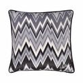 Laurence Llewelyn-Bowen - Pants on Fire - Velvet Cushion Cover - 43 x 43cm in Black/White additional 1