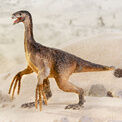 Jurassic World - Captivz Dino Trackers additional 5