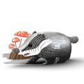 EUGY Badger additional 1