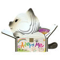 EUGY Cat Mocha additional 2