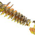 EUGY Frilled Lizard additional 3