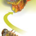 EUGY Frilled Lizard additional 5