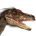 Natural History Museum Dinosaur Picture Viewer additional 4