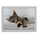 Creative Tops - Sleeping Kitten Laptray additional 1