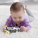 Fisher Price - 2-in-1 Rockin’ Tummy Time Otter additional 5