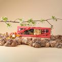 Walnut Tree - Long Box of Marzipan Pate De Fruit additional 2