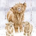 Wrendale Designs - A Highland Christmas Highland Cow A6 Notebook additional 1