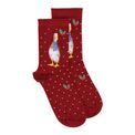 Wrendale Designs - Christmas Scarves Red Duck Socks additional 4