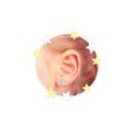 Ylvi - Sticker Earrings Assortment additional 2