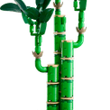 LEGO Botanicals - Lucky Bamboo additional 1