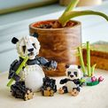 LEGO Creator - Wild Animals Panda Family additional 4