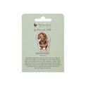 Wrendale Designs - Dog Little Sausage Pin Badge additional 3