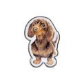 Wrendale Designs - Dog Little Sausage Pin Badge additional 2