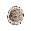 Wrendale Designs - Owls Round Owl Pin Badge additional 1