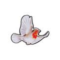 Wrendale Designs - Robin Flying Robin Pin Badge additional 2