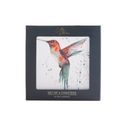 Meg Hawkins - The Rainforest Hummingbird Watercolour Design Coasters additional 2